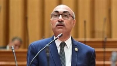 النائب إيهاب منصور    