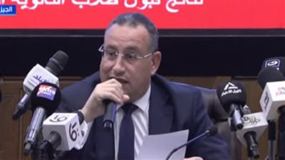 الدكتور عبد العزيز قنصوة، وزير التعليم العالي    