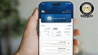 المالية     