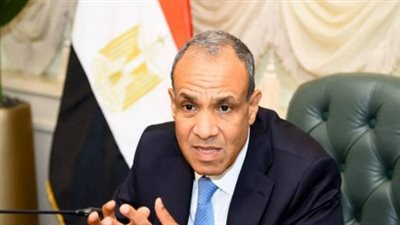 وزير الخارجية    