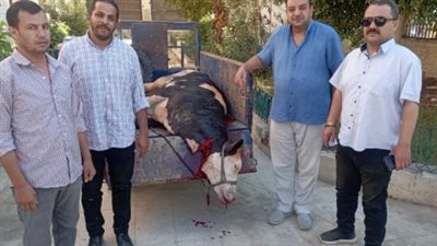 تموين الفيوم يضبط 350 كيلو منتجات فاسدة    
