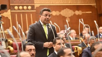 النائب باسل عادل     