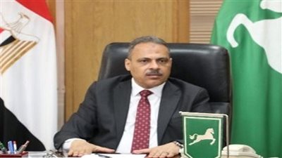 محافظ الشرقية    