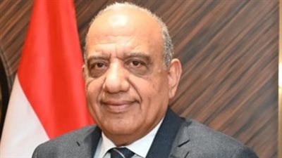الدكتور محمود عصمت وزير الكهرباء    