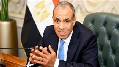 الدكتور بدر عبد العاطي، وزير الخارجية    