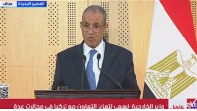 وزير الخارجية     