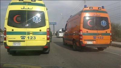 أرشيفية    