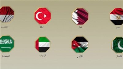 مصر و7 دول تحذر من عرقلة إسرائيل لخطة غزة    
