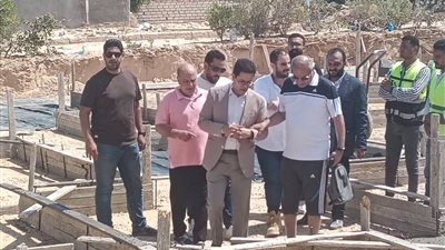 ناصر الجيزاوي    