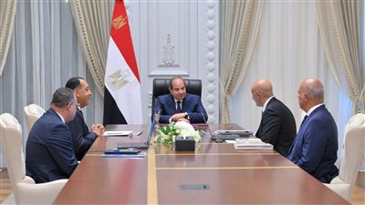 صورة من اللقاء    