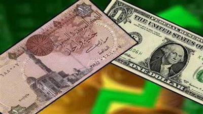 سعر الدولار مقابل الجنيه المصري    