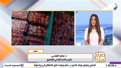  الدكتور محمد المنسي    