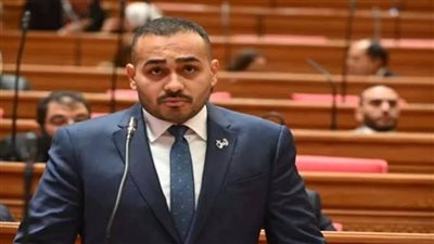 النائب أحمد ناصر     