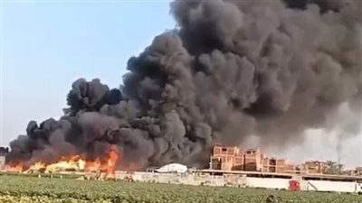 حريق هائل في مصنع لتصدير البرتقال بالشرقية    