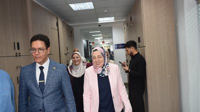 محافظ القليوبية     
