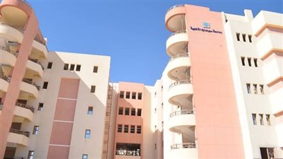جامعة سوهاج الأهلية    