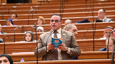 النائب مختار همام    