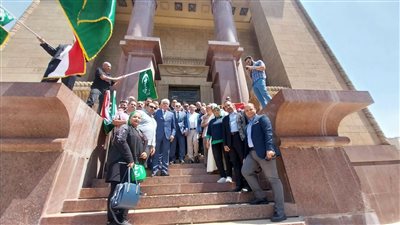 حزب الوفد     