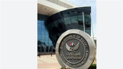 الرقابة المالية    