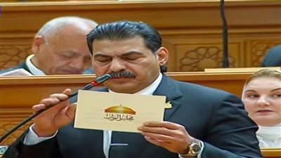 النائب ياسر الحفناوي عضو مجلس النواب    
