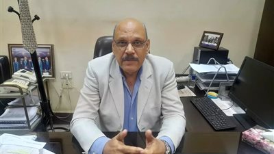 الدكتور حسن الصادي الخبير الاقتصادي    