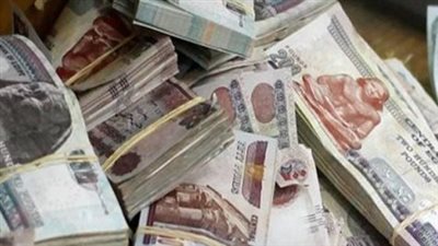الاستعلام عن القروض بالرقم القومي في مصر    