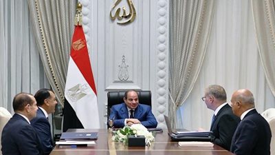 جانب من اللقاء    