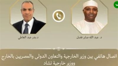 عبد العاطي يبحث مع نظيره التشادي تطورات السودان وليبيا    