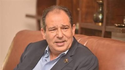 النائب حسام الخولي    