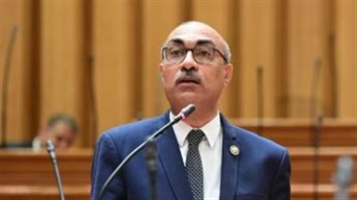 النائب إيهاب منصور    