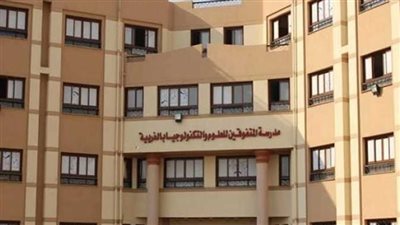 مدارس المتفوقين     
