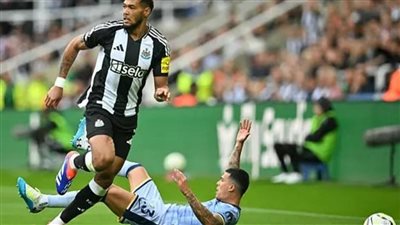 فريق توتنهام هوتسبير     
