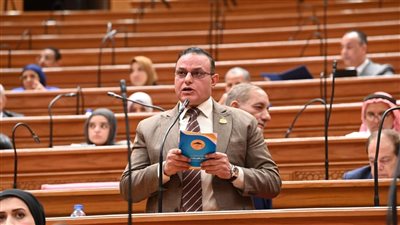 النائب مختار همام    