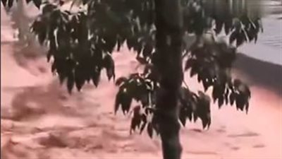 فيضانات    