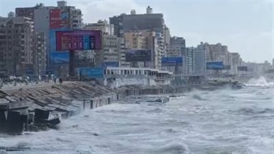 الاسكندرية    