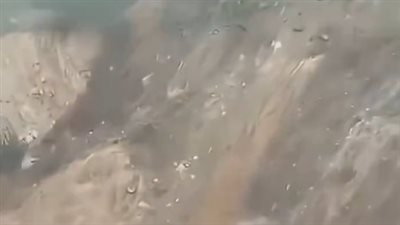 نيبال    