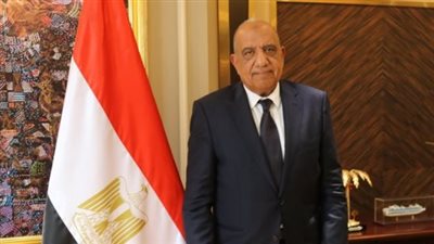وزير الكهرباء    