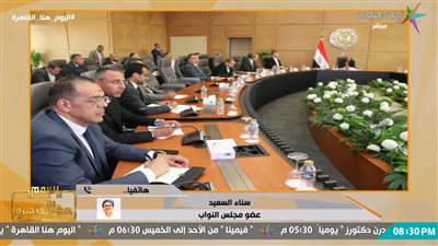 النائبة سناء السعيد    