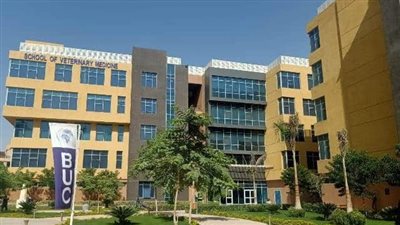جامعة بدر    