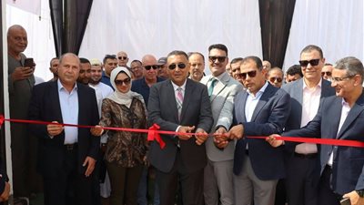 محافظ القليوبية    