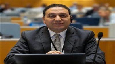  المستشار محمد عادل     