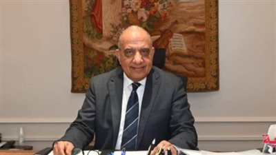 وزير الكهرباء    