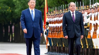 الرئيس السيسي ونظيره الصيني    