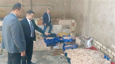 ضبط مصنع دواجن فاسدة في الجيزة    