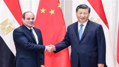 الرئيس السيسي ونظيره والصيني     