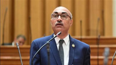  النائب إيهاب منصور    