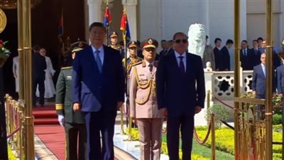 الرئيس السيسي ونظيره الصيني    