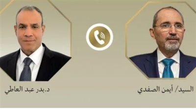 وزير الخارجية ونظيره الأردني    