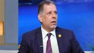 سعيد حسانين    