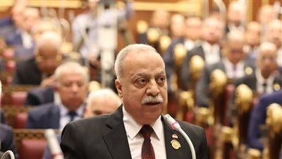 النائب حسني سبالة    